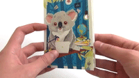 robocards-coala-programmer